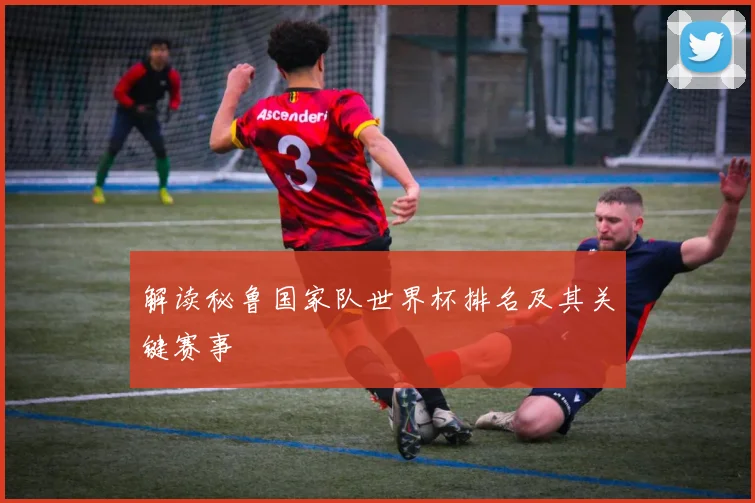 解读秘鲁国家队世界杯排名及其关键赛事